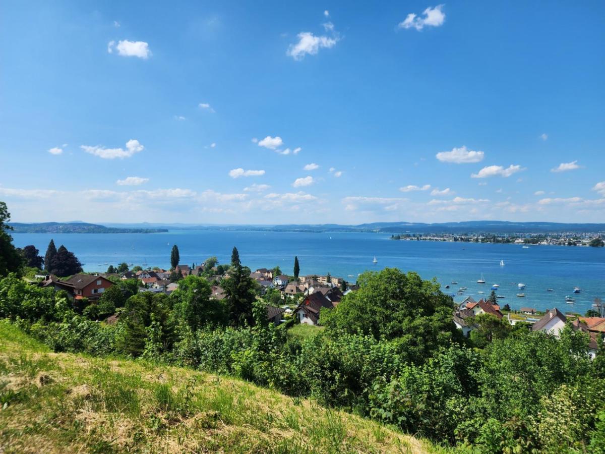 Ferienwohnung In Singen Am Hohentwiel - Seenah Εξωτερικό φωτογραφία